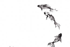 小鱼高清PNG中国风透明装饰元素设计素材免费下载