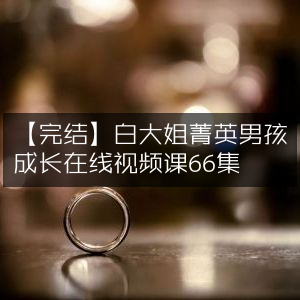【完结】白大姐精英男孩成长记，66集在线视频课程