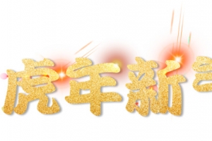 虎年新气象炫光字