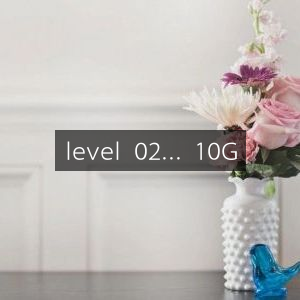 Level 02: Access to 10G