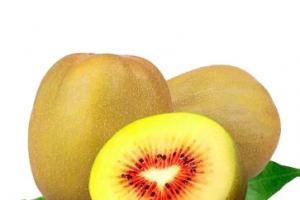 两个半水果红心猕猴桃