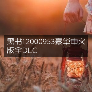 黑书豪华中文版全DLC编号12000953