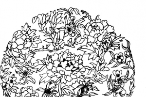 牡丹花矢量图