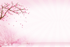 浪漫唯美樱花背景图