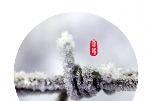简约传统节气霜降