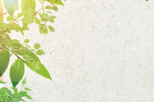 水果双11促销季新鲜简约灰色banner