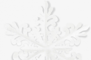 白色雪花