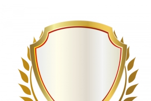 盾牌形徽章高清PNG透明免扣设计素材免费下载