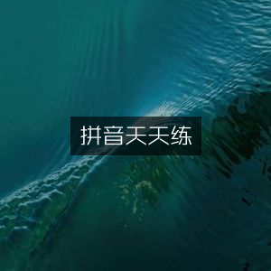 拼音每日练习