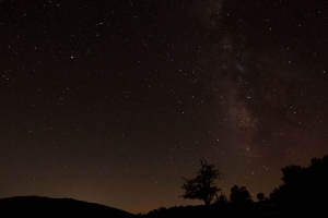 星空 星星 夜晚 树木 剪影 深色 4k壁纸 3840x2160