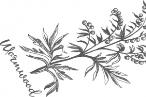 手绘花草装饰
