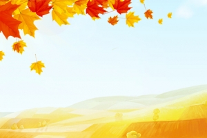 秋风文艺小清新枫叶banner
