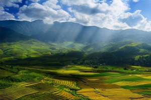 阳光普照的自然背景