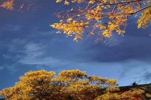 秋日夜晚天空