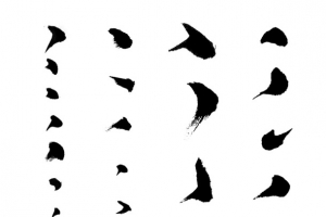 毛笔字点图片
