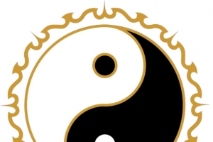 阴阳鱼图案边框下载