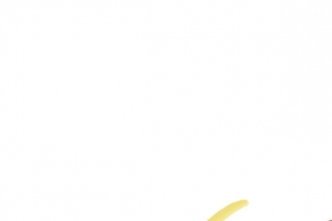元宵节汤圆插画