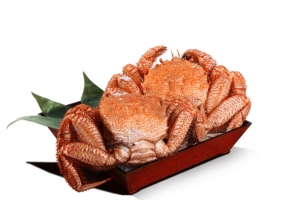 螃蟹美食图片