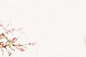 美食家乡特色过桥米线淘宝banner