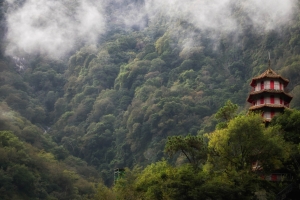森林,山雾,塔,台湾风景4k壁纸
