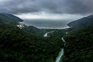 道路 雾 鸟瞰图 森林 天空 海洋 4k壁纸 3840x2160