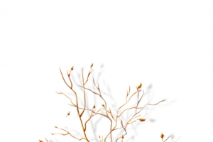 2019年元旦圣诞金色大气树枝