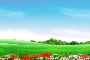 新春清新春天背景海报banner