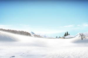 白雪茫茫冬季雪景