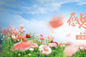浪漫花海背景