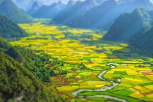 美丽乡村风景
