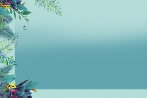 春季上新文艺小清新banner