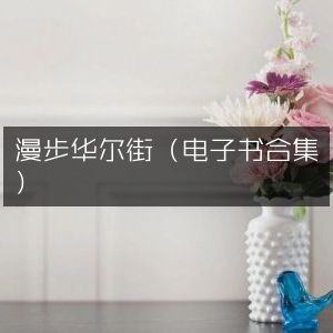 漫步华尔街电子书精选集，提升个人能力的必读之作