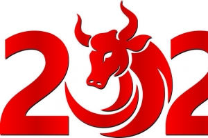 2021牛年艺术字2