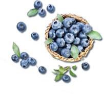 蓝莓下午茶设计水果