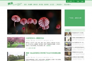 帝国CMS个人博客/资讯网站整站模板 - 自适应HTML5响应式手机平板