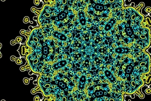 分形 图案 彩色 明亮的 4k壁纸 3840x2160