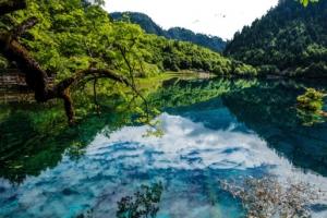 四川九寨沟风景五