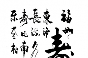 中国风书法寿字