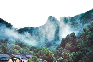 青山绿水