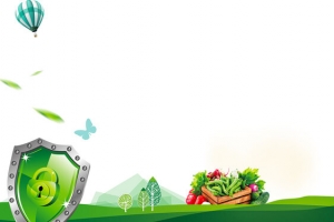 关注食品健康简约绿色banner