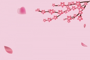 春天粉色樱花树背景