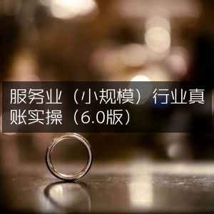 服务业（小微）真账实操6.0版
