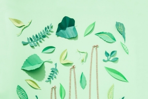 不规则的绿叶图标