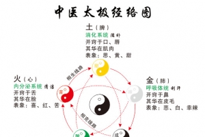 太极经络图