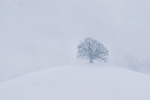 山丘 树 雪 冬天 白色 4k壁纸 3840x2160