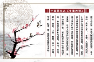 冬季养生中医展牌