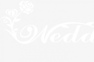 婚礼快乐英文logo蝴蝶花卉
