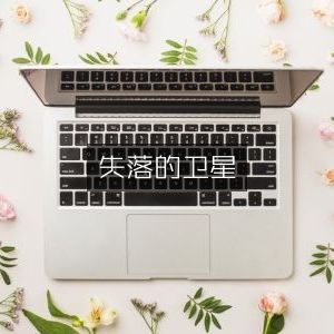 失落卫星，文学艺术书籍精选
