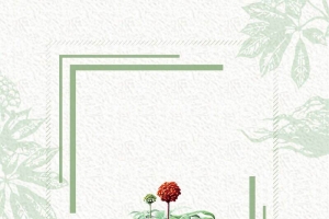 中国风中医中药养生