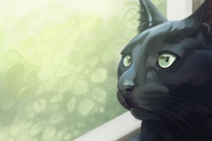 猫 黑色 一瞥 窗口 艺术 4k壁纸 3840x2160